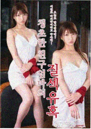 KBS 综合频道直播画面示意